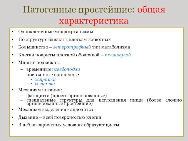 Патогенные простейшие: общая характеристика Одноклеточные микроорганизмы По структуре близки к