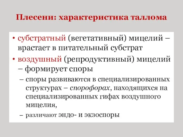 Плесени: характеристика таллома субстратный (вегетативный) мицелий – врастает в питательный