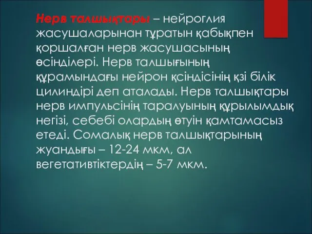 Нерв талшықтары – нейроглия жасушаларынан тұратын қабықпен қоршалған нерв жасушасының өсінділері. Нерв талшығының