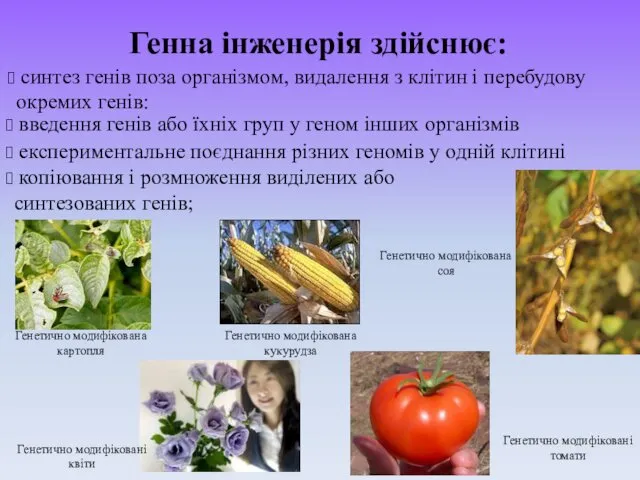 синтез генів поза організмом, видалення з клітин і перебудову окремих