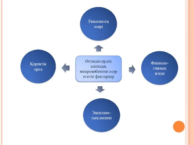 Өсімдіктердің клондық микрокөбеюіне әсер ететін факторлар Эксплант- тың көлемі Физиоло- гиялық жасы Генотиптің әсері Қоректік орта