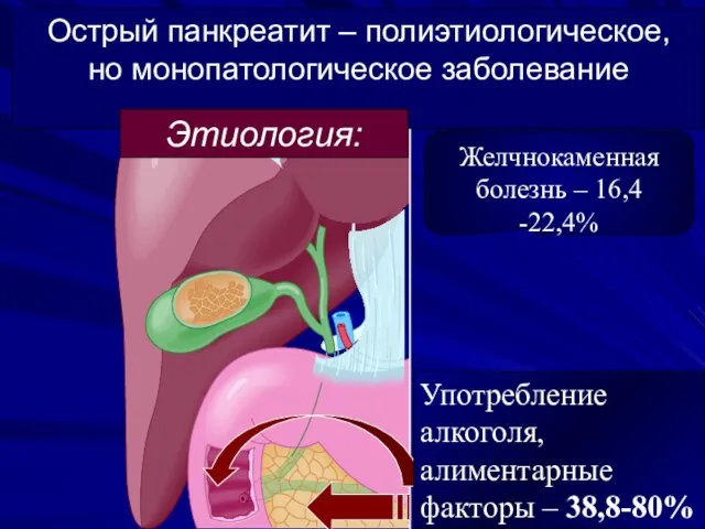 Желчнокаменная болезнь – 16,4 -22,4% Употребление алкоголя, алиментарные факторы –