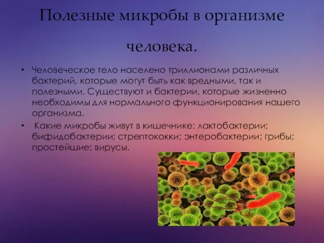 Полезные микробы в организме человека. Человеческое тело населено триллионами различных