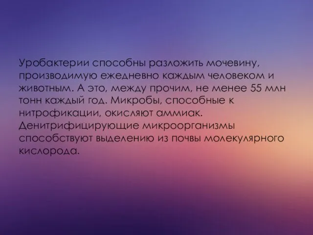 Уробактерии способны разложить мочевину, производимую ежедневно каждым человеком и животным.