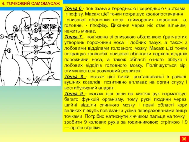 Точка 6 - пов’язана з передньою і середньою частками гіпофізу.