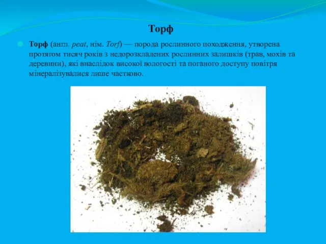 Торф Торф (англ. peat, нім. Torf) — порода рослинного походження,