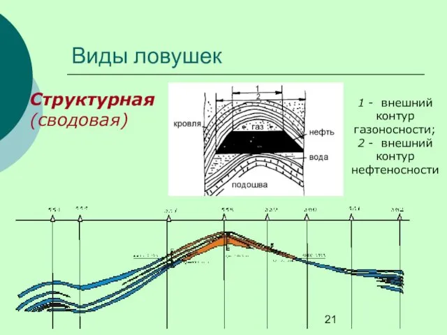 Виды ловушек Структурная (сводовая) 1 - внешний контур газоносности; 2 - внешний контур нефтеносности