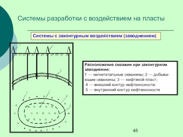 Системы с законтурным воздействием (заводнением) Расположение скважин при законтурном заводнении: