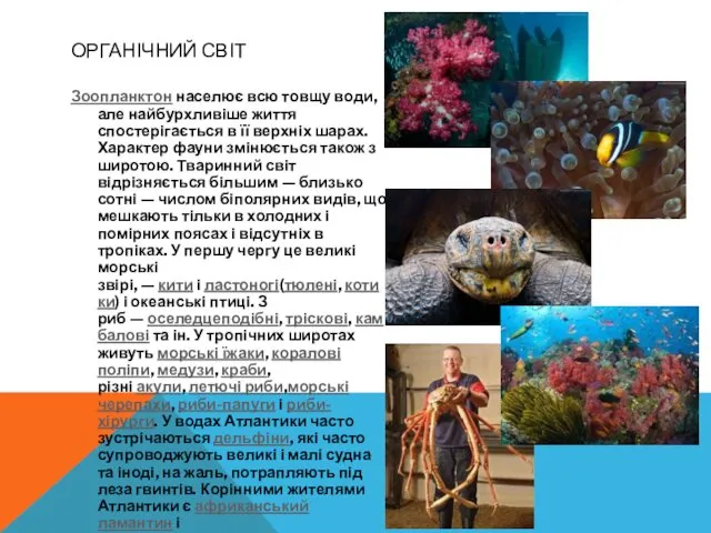 ОРГАНІЧНИЙ СВІТ Зоопланктон населює всю товщу води, але найбурхливіше життя