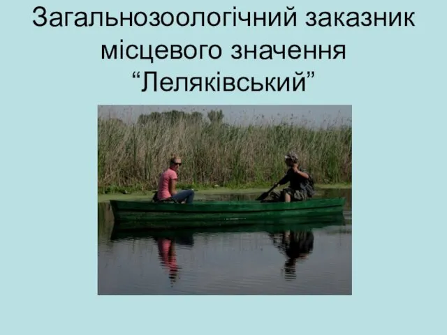 Загальнозоологічний заказник місцевого значення “Леляківський”