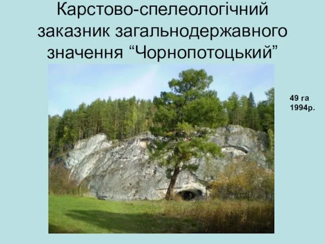 Карстово-спелеологічний заказник загальнодержавного значення “Чорнопотоцький” 49 га 1994р.