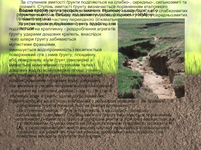 Водна ерозія проявляється у змиванні верхнього шару ґрунту або розмиванні