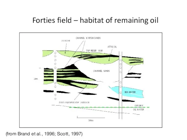 Forties field – habitat of remaining oil (from Brand et al., 1996; Scott, 1997)