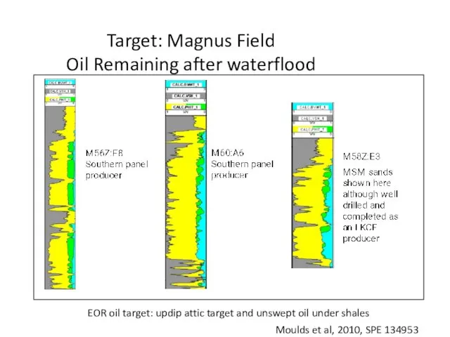 Target: Magnus Field Oil Remaining after waterflood EOR oil target: