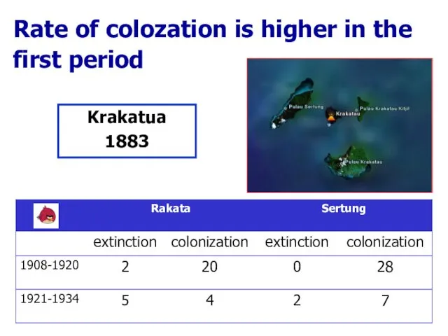 Krakatua 1883 Rate of colozation is higher in the first period