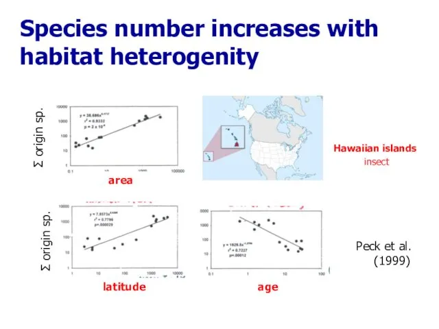 Peck et al. (1999) Hawaiian islands insect Species number increases