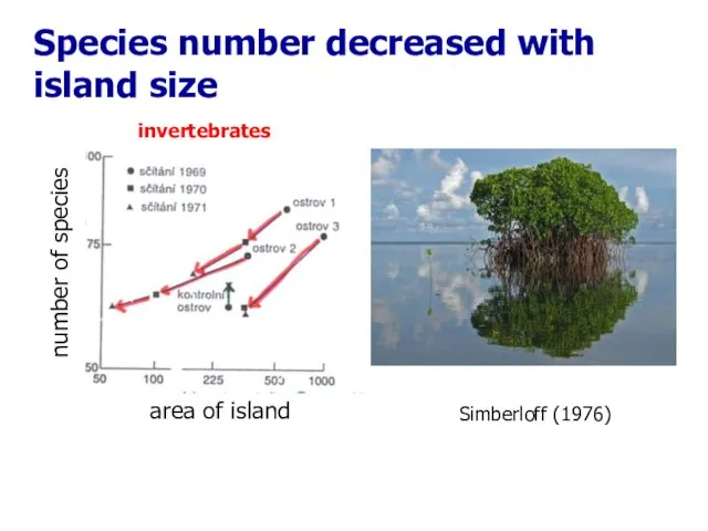 Species number decreased with island size Simberloff (1976) invertebrates area of island number of species