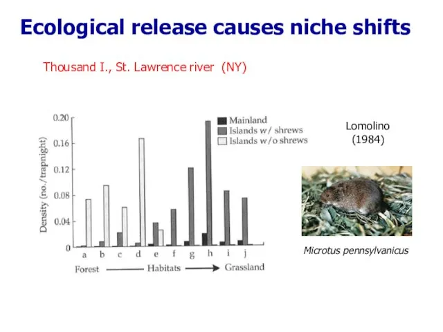 Ecological release causes niche shifts Microtus pennsylvanicus Thousand I., St. Lawrence river (NY) Lomolino (1984)