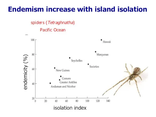 Endemism increase with island isolation spiders (Tetraghnatha) Pacific Ocean isolation index endemicity (%)