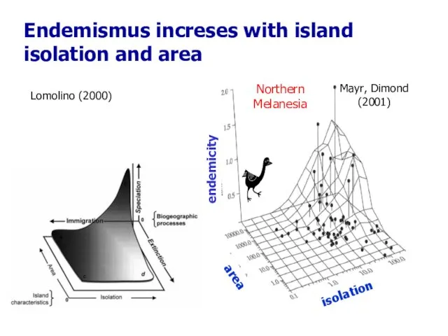 Endemismus increses with island isolation and area Lomolino (2000) area Northern Melanesia