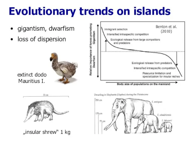 Evolutionary trends on islands „insular shrew“ 1 kg Benton et al. (2010) gigantism,