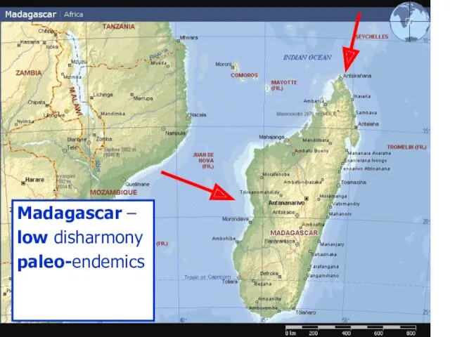 Madagascar – low disharmony paleo-endemics