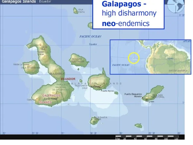 Galapagos - high disharmony neo-endemics