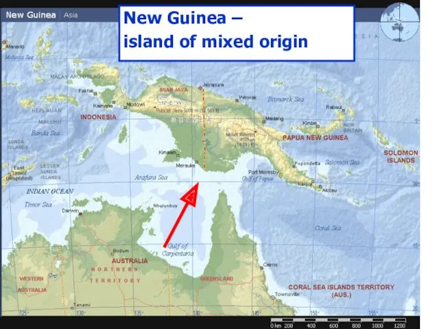 New Guinea – island of mixed origin