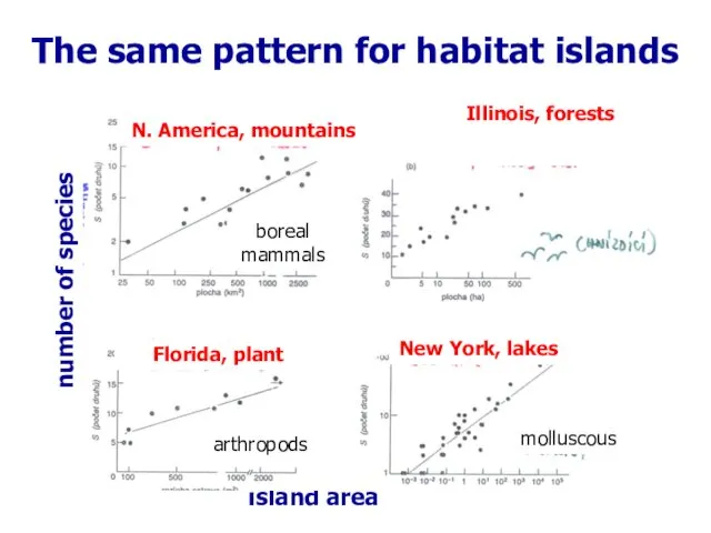 number of species island area The same pattern for habitat islands number of species