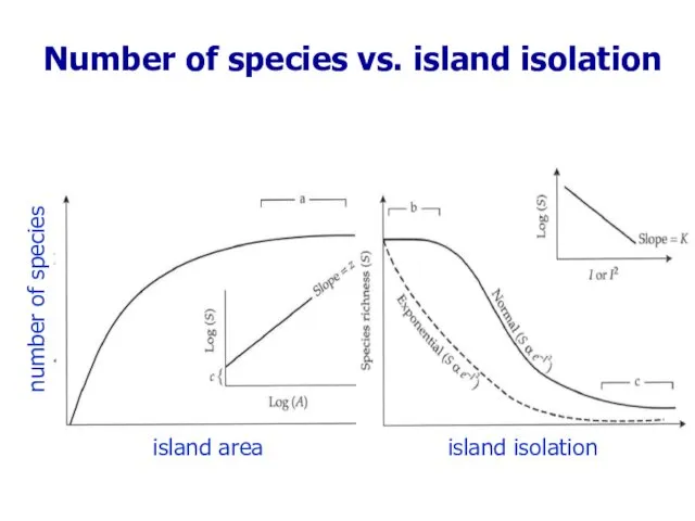number of species island area Number of species vs. island isolation island isolation
