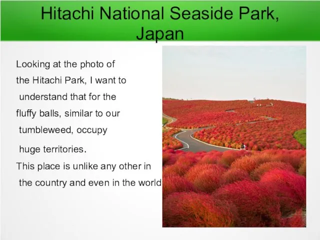 Hitachi National Seaside Park, Japan Looking at the photo of the Hitachi Park,