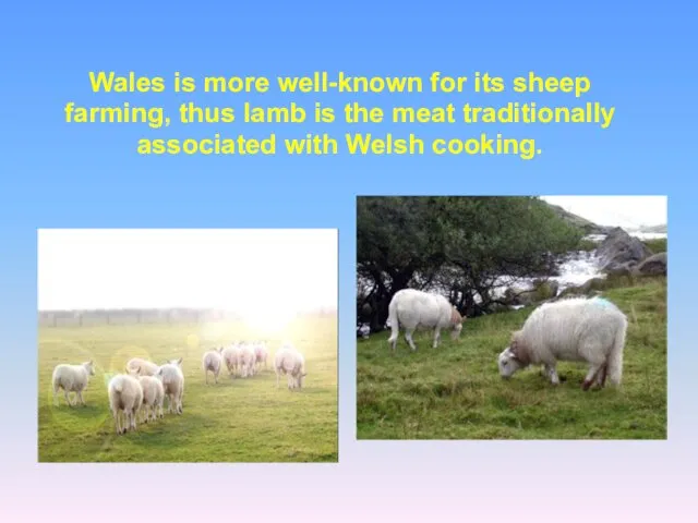 Wales is more well-known for its sheep farming, thus lamb