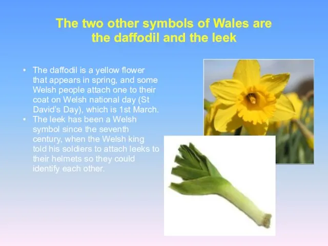 The daffodil is a yellow flower that appears in spring,