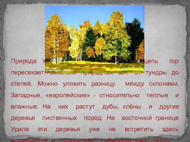 Природа Урала разнообразна, ведь цепь гор пересекает насколько природных зон