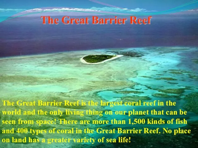 The Great Barrier Reef The Great Barrier Reef is the