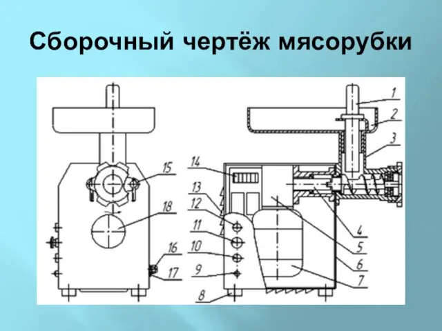 Сборочный чертёж мясорубки