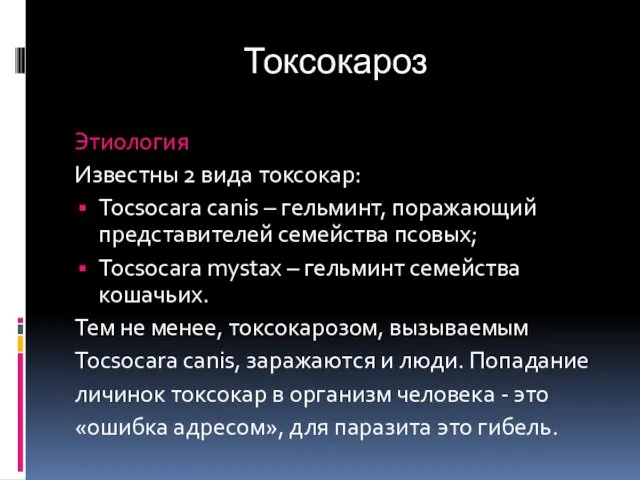 Токсокароз Этиология Известны 2 вида токсокар: Tocsocara canis – гельминт,