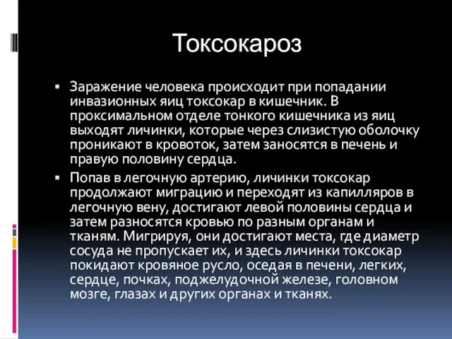 Токсокароз Заражение человека происходит при попадании инвазионных яиц токсокар в