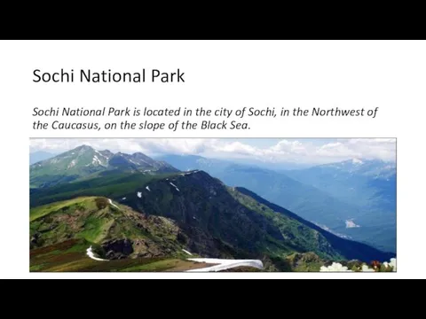 Sochi National Park Sochi National Park is located in the