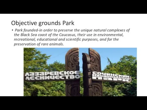 Objective grounds Park Park founded-in order to preserve the unique