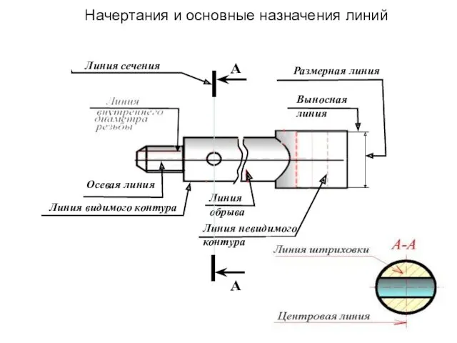 Начеpтания и основные назначения линий Осевая линия Линия видимого контура