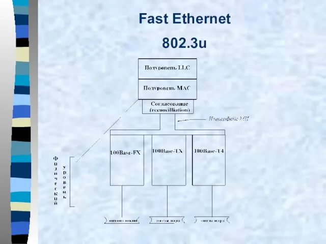 Fast Ethernet 802.3u