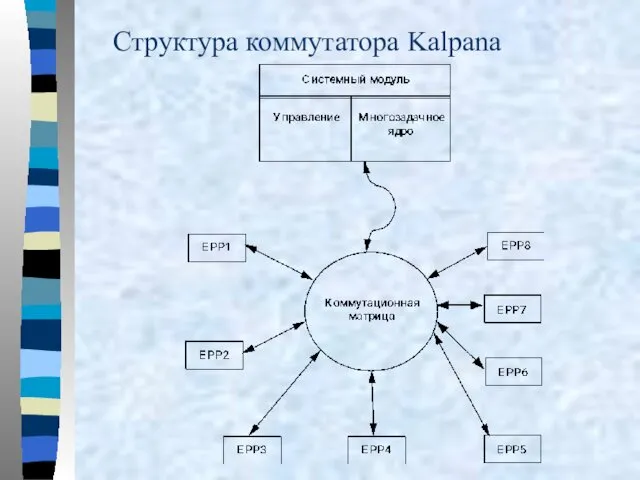 Структура коммутатора Kalpana