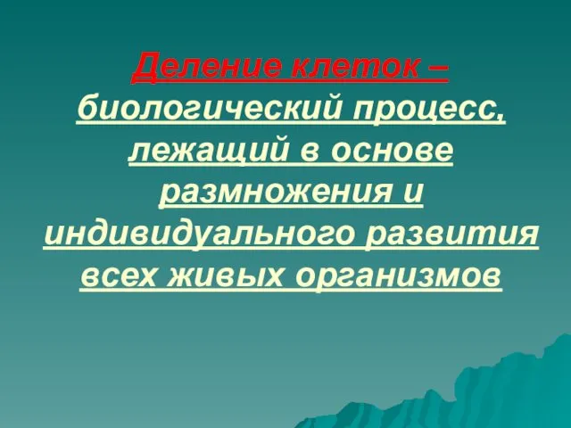 Деление клеток – биологический процесс, лежащий в основе размножения и индивидуального развития всех живых организмов