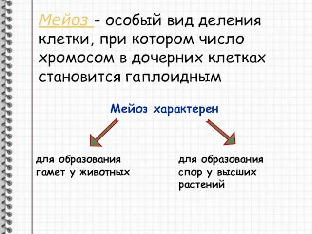 Мейоз - особый вид деления клетки, при котором число хромосом