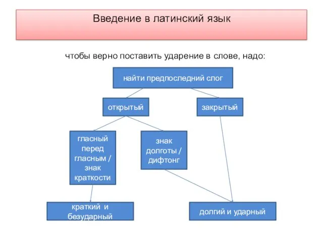 Введение в латинский язык чтобы верно поставить ударение в слове, надо: