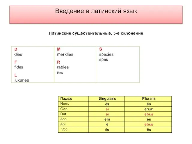 Введение в латинский язык Латинские существительные, 5-е склонение