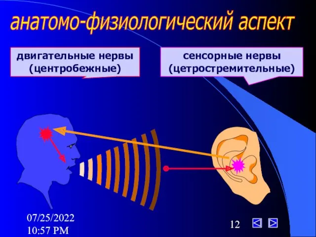 07/25/2022 10:57 PM анатомо-физиологический аспект двигательные нервы (центробежные) сенсорные нервы (цетростремительные)