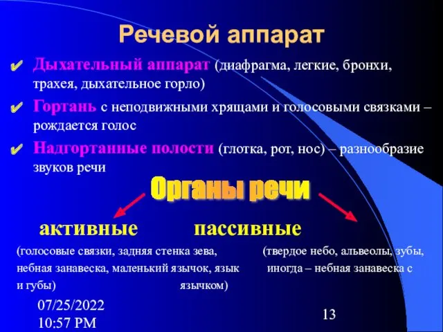 07/25/2022 10:57 PM Речевой аппарат Дыхательный аппарат (диафрагма, легкие, бронхи,