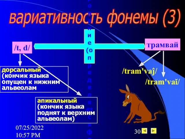 07/25/2022 10:57 PM вариативность фонемы (3) Свободное варьирование (определяется фонетически)